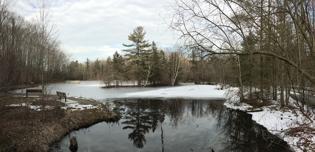 Saint Johns Conservation Area | 3101 Barron Rd, Fonthill, ON L0S 1E6, Canada | Phone: (905) 788-3135