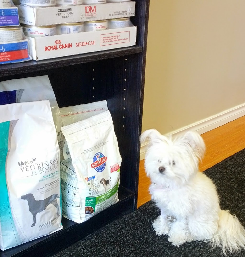 Yonge 16th Animal Hospital | 9218 Yonge St, Richmond Hill, ON L4C 7A2, Canada | Phone: (905) 597-1012