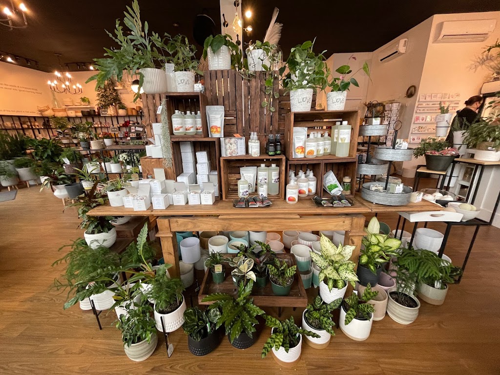 Thrive Greenery and Gifts | 5723 176 St #5, Surrey, BC V3S 4C9, Canada | Phone: (778) 547-0838