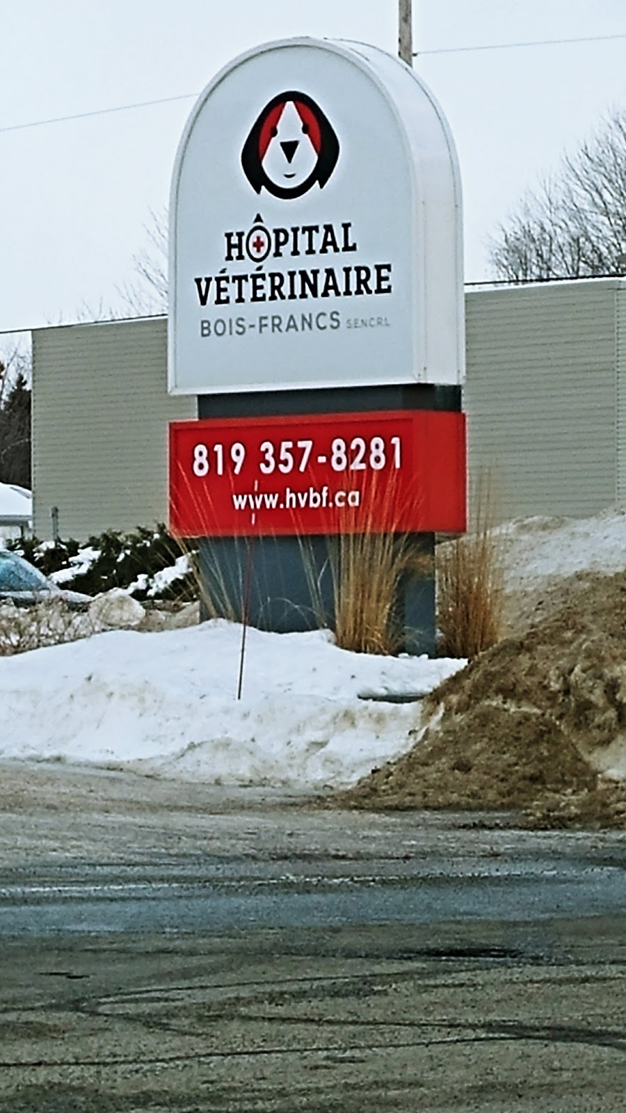 Veterinary Hospital Bois-Francs | 50 Rue Girouard, Victoriaville, QC G6P 5S8, Canada | Phone: (819) 357-8281