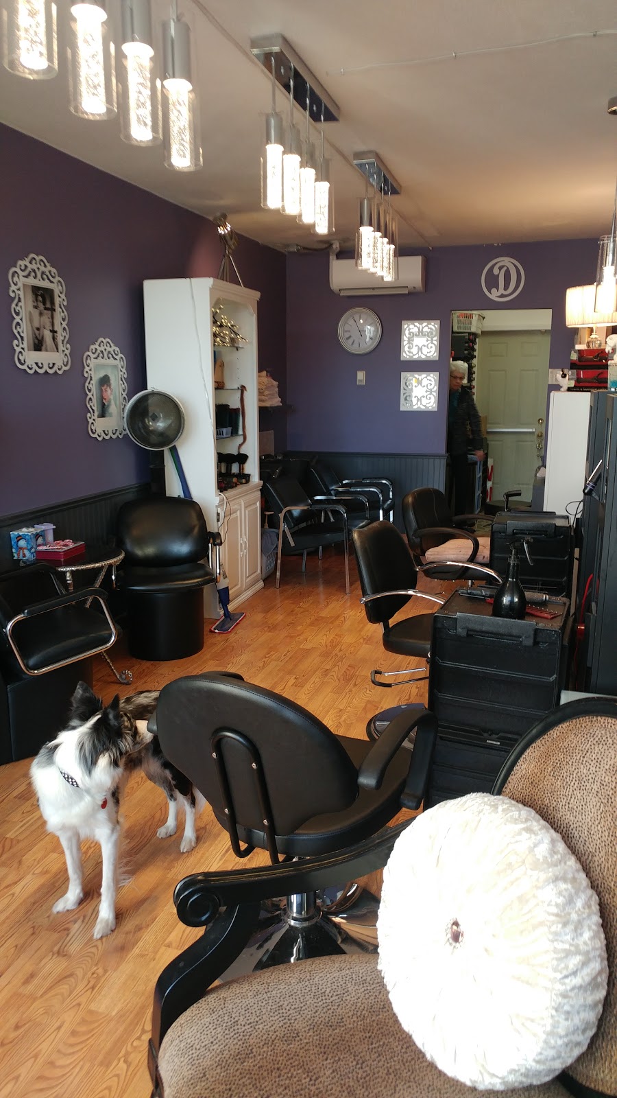 Hair by D | 2617 a Pauline St, Abbotsford, BC V2S 3S2, Canada | Phone: (604) 859-4715