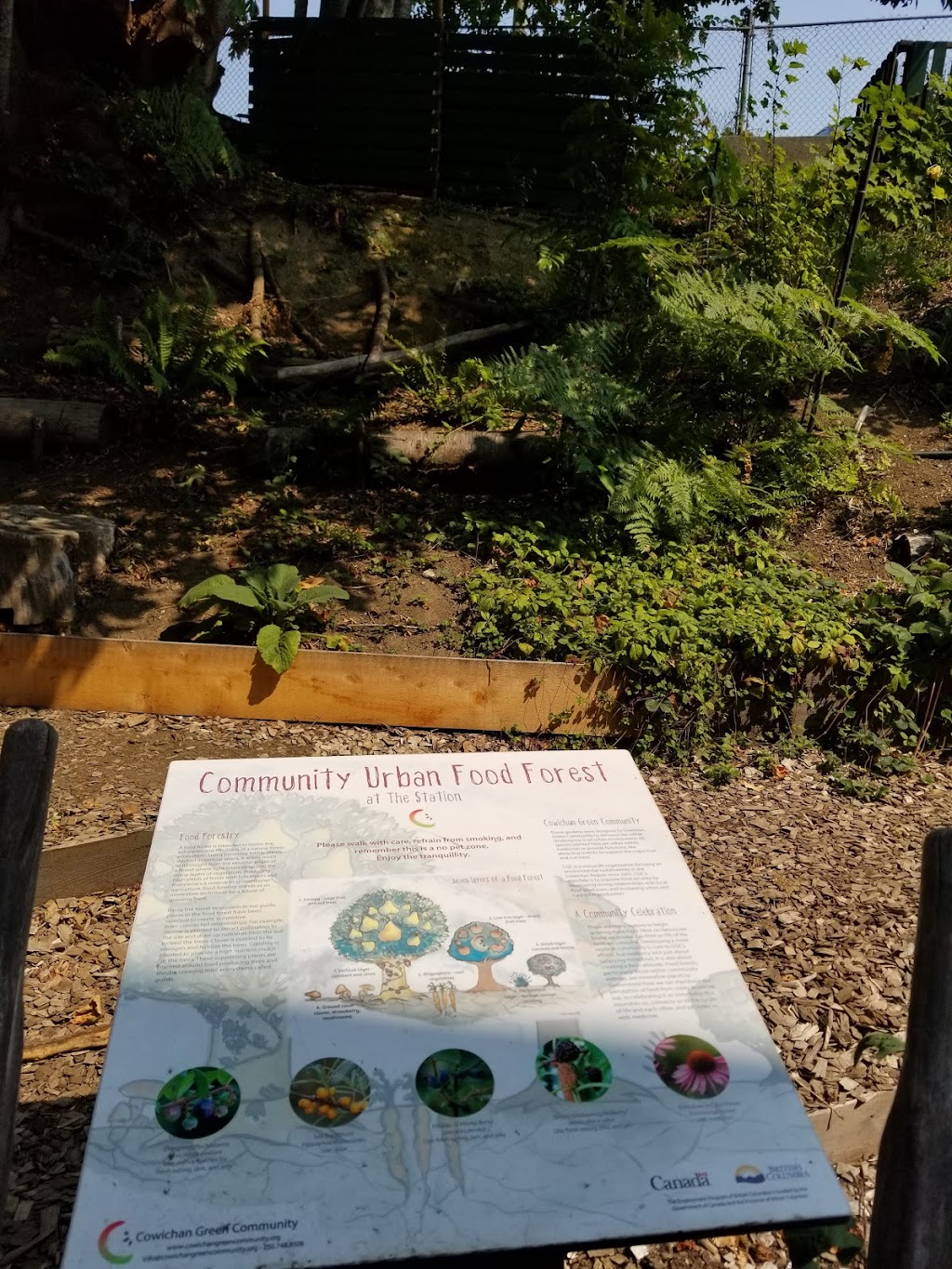 Cowichan Green Community Society | 360 Duncan St, Duncan, BC V9L 3W4, Canada | Phone: (250) 748-8506