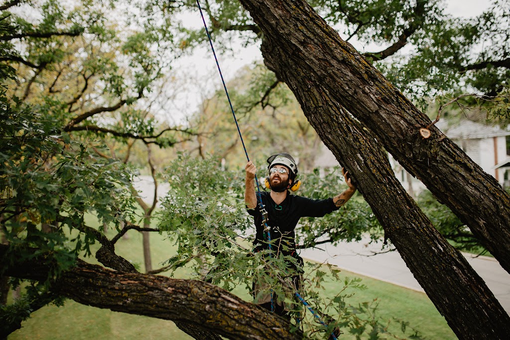 Boreal Tree Solutions | 88 Arnold Ave, Winnipeg, MB R3M 0S1, Canada | Phone: (204) 291-7960