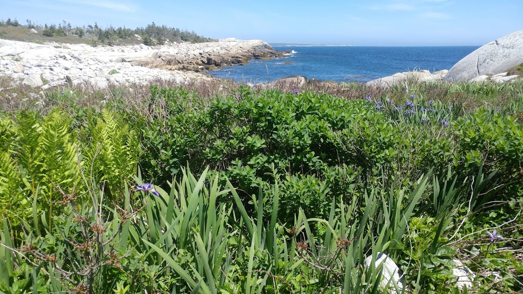 Crystal Crescent Beach Provincial Park | Sambro Creek, NS, Canada