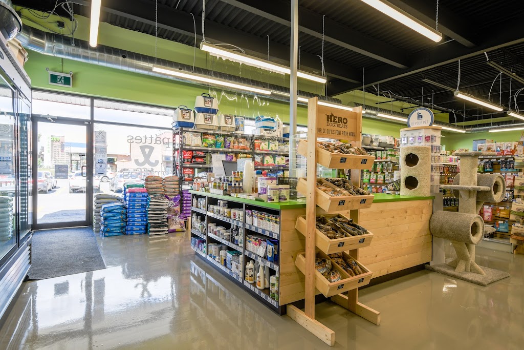 Pattes et Griffes | 190 Bd du Curé-Labelle suite 1b, Sainte-Thérèse, QC J7E 2X5, Canada | Phone: (450) 818-1310