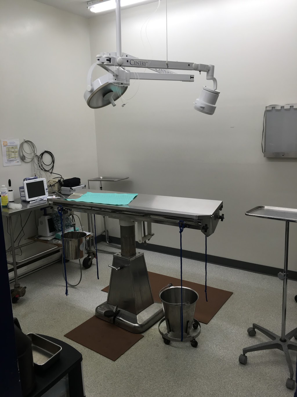 Suburban South Veterinary Hospital | 1230 French Rd, Depew, NY 14043, USA | Phone: (716) 668-0503