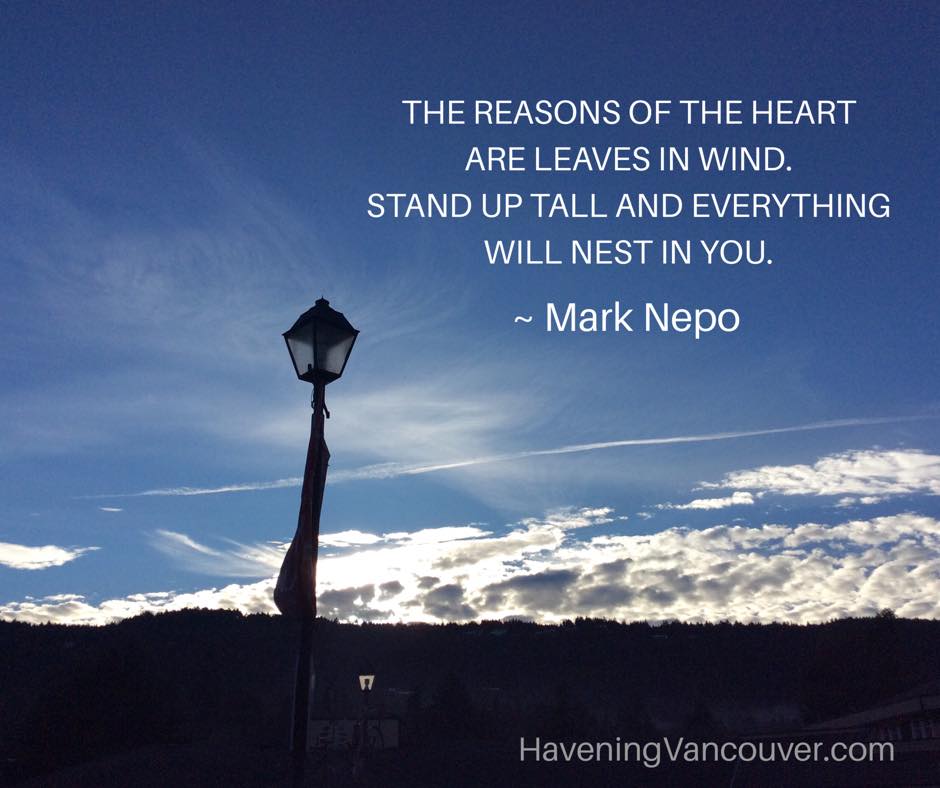 COACH Lynn Demers GOLDEN BUDDHA HAVENING & HYPNOTHERAPY / HAVENI | 163 Fulford-Ganges Rd, Ganges, BC V8K 2T9, Canada | Phone: (778) 608-0719