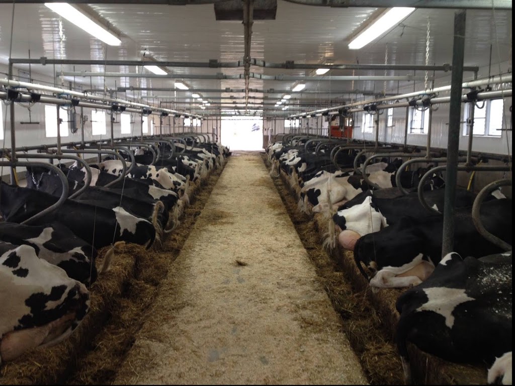 Ferme Ancestrale LaRue INC - 318 Rue des Erables, Neuville, QC G0A 2R0 ...