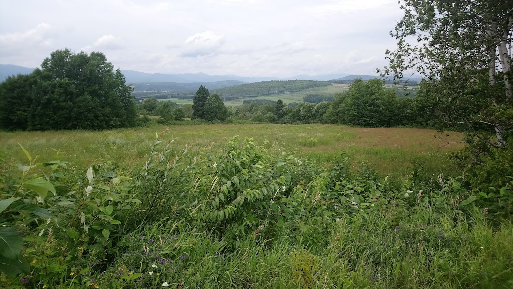Les Parcs éoliens de Témiscouata | Saint-Honoré-de-Témiscouata, QC G0L 2W0, Canada | Phone: (877) 663-5860