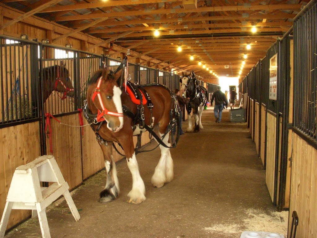 Princess Louise Park Show Centre | 56 Perry St, Sussex, NB E4E 2N7, Canada | Phone: (506) 433-4700