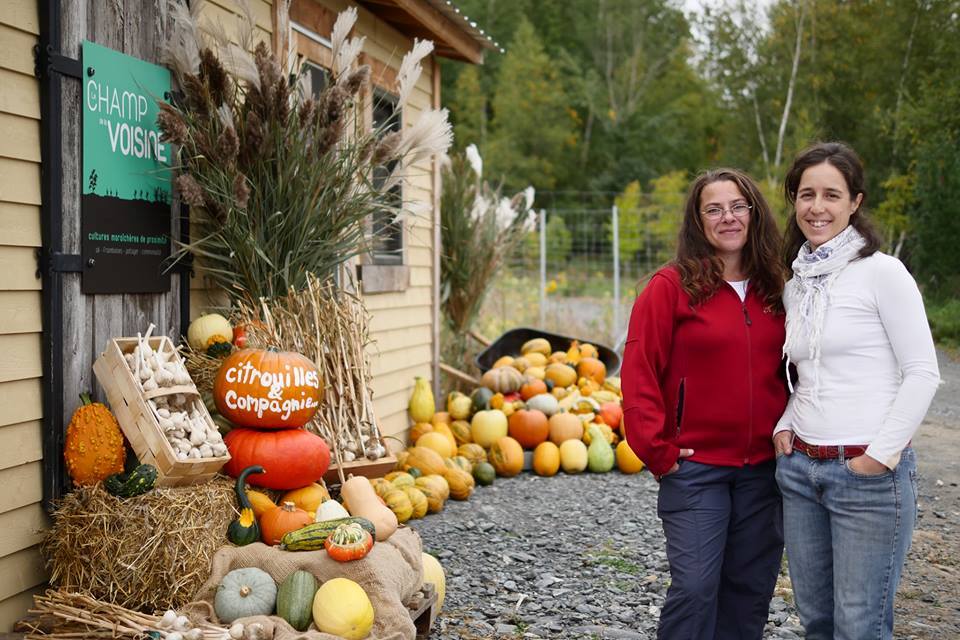 Citrouilles & Compagnie | 525 Rue des Pivoines, Cowansville, QC J2K 0C4, Canada | Phone: (450) 263-0315