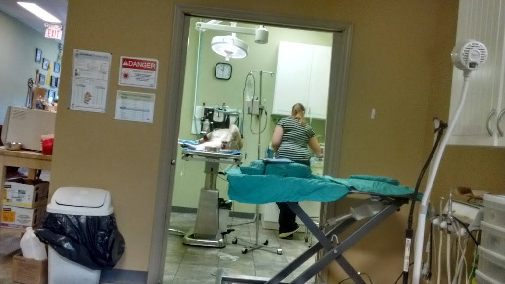 Ranchlands Veterinary Clinic Calgary | 7750 Ranchview Dr NW, Calgary, AB T3G 1Y9, Canada | Phone: (403) 457-3558