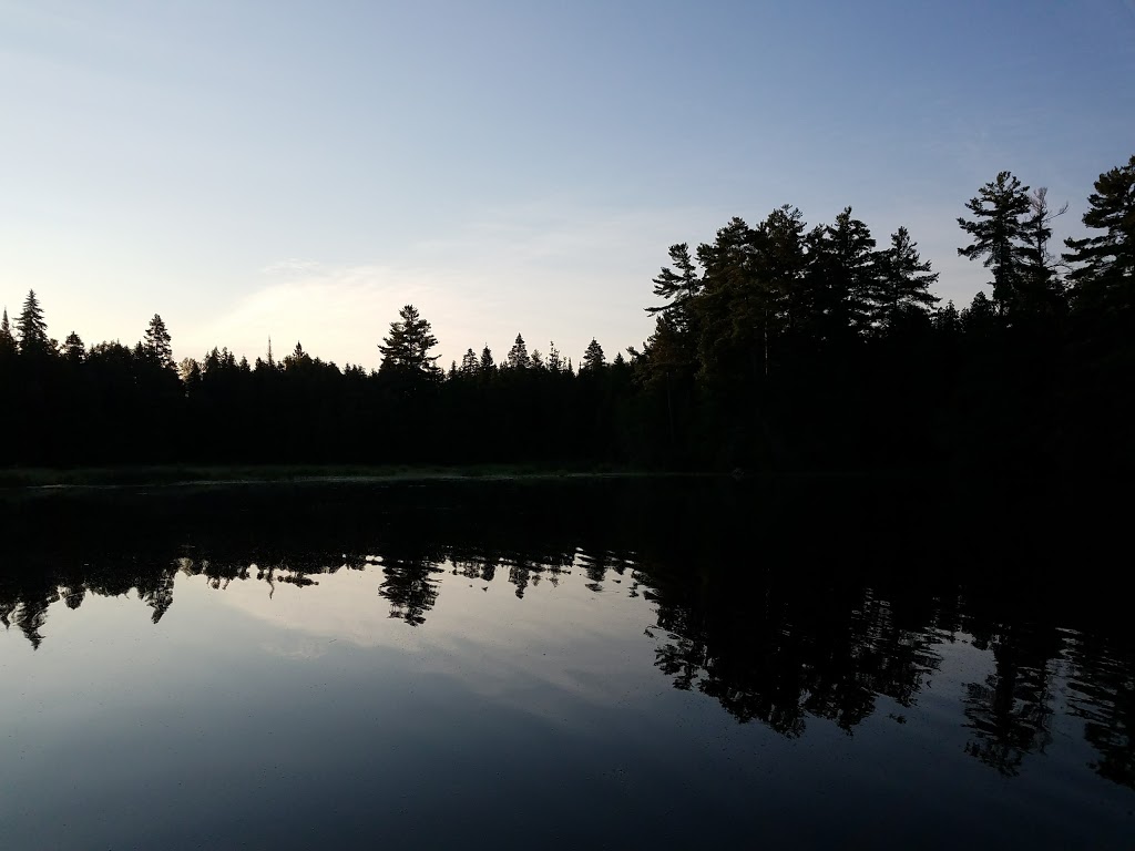 T-Bell Cottage Rentals | 3 Tilley Ln, White Lake, ON K0A 3L0, Canada | Phone: (613) 623-3897