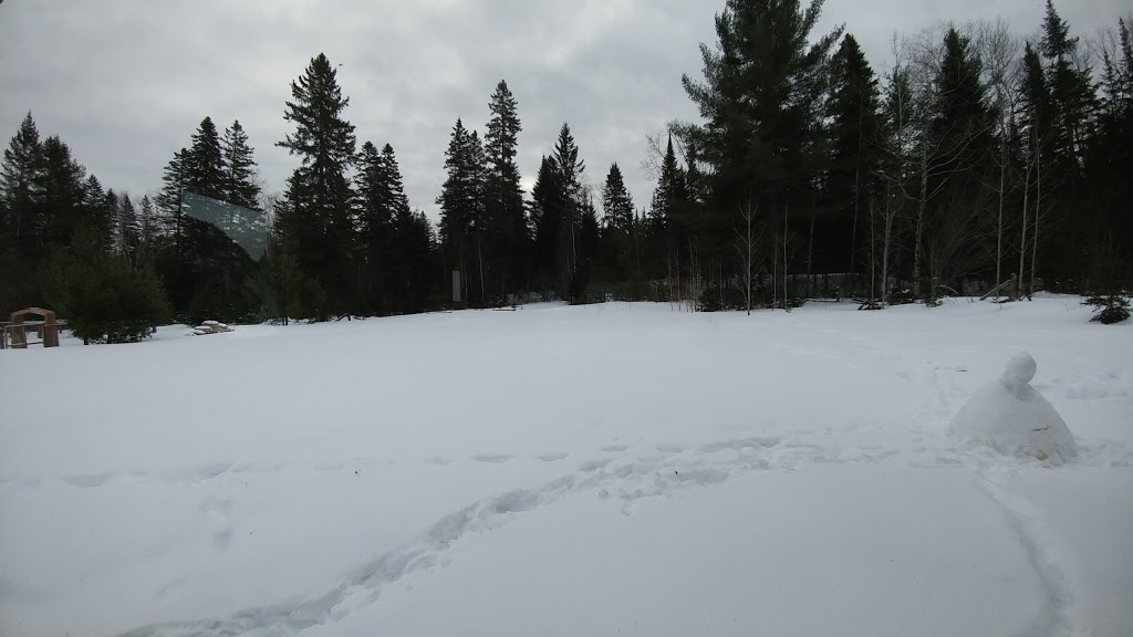 Domaine Appaloosa | 3015 Chemin de la Forêt, Notre-Dame-de-la-Merci, QC J0T 2A0, Canada | Phone: (450) 543-4591