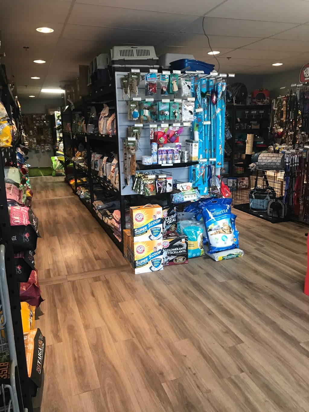 Animalerie Nutri-Pro | 195 Rue de lAtmosphère, Gatineau, QC J9A 0A3, Canada | Phone: (819) 778-8885