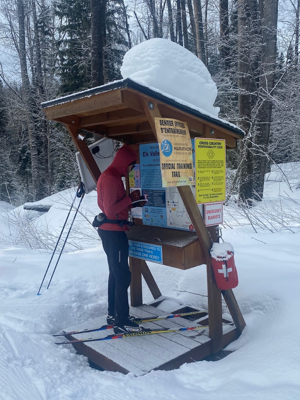 Elk Valley Nordic Centre | 500 Mt Fernie Park Rd, Fernie, BC V0B 1M7, Canada | Phone: (250) 430-2719