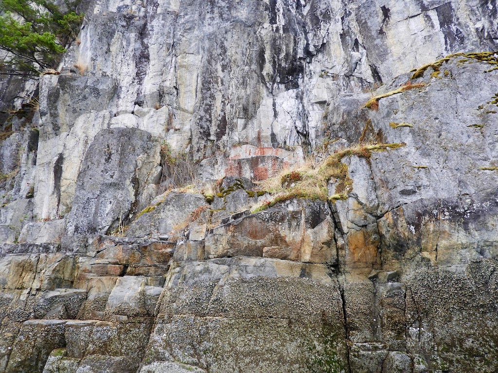 Footprint Nature Explorations | 6429 Sutherland Ave, Powell River, BC V8A 4W5, Canada | Phone: (604) 414-6884