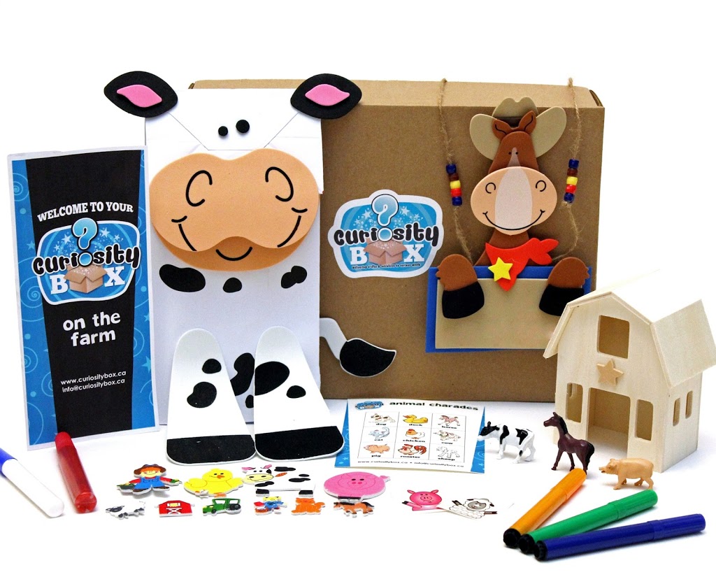 Curiosity Box | 403269 Robinson Rd, Ingersoll, ON N5C 3K1, Canada | Phone: (800) 485-6082