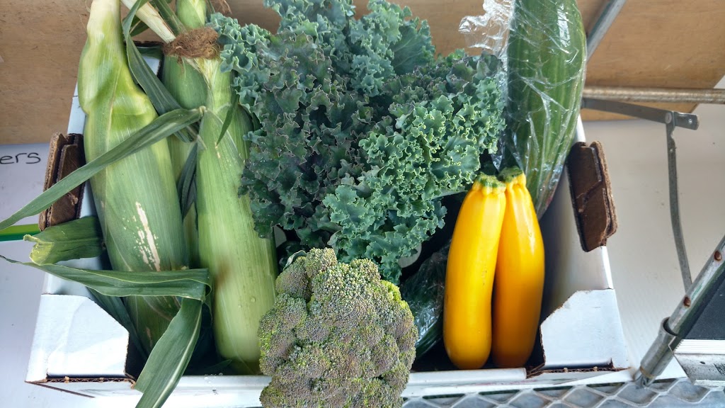 Prince Greenhouses | 687003 Oxford 2, Princeton, ON N0J 1V0, Canada | Phone: (226) 802-4519