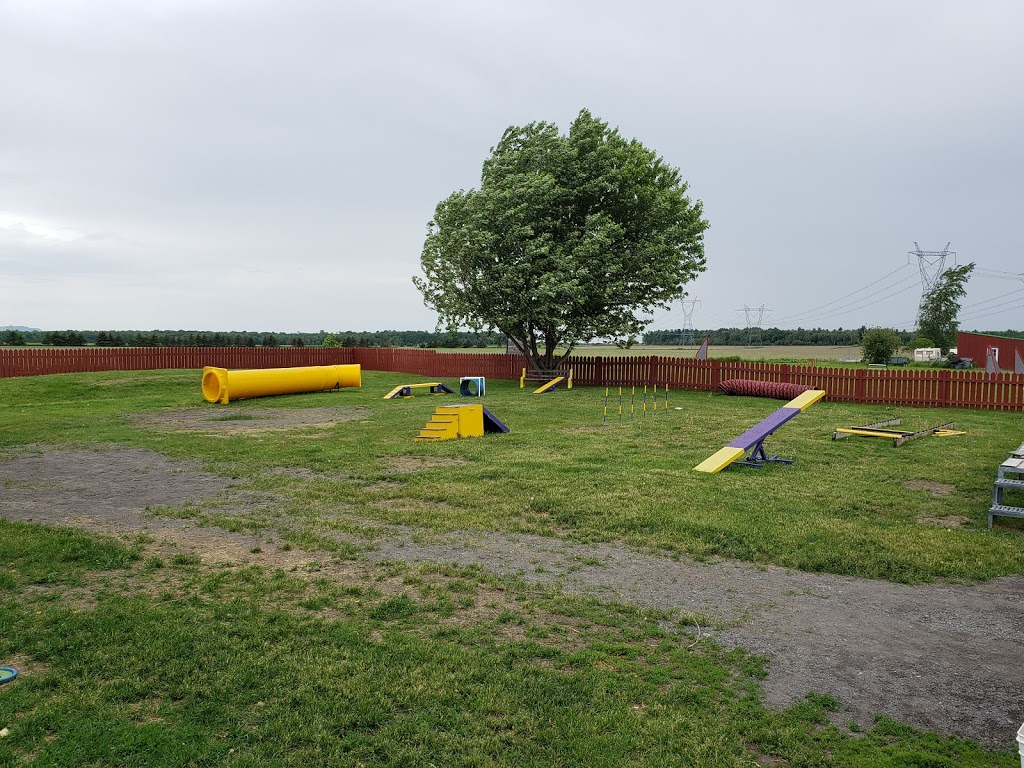 Canine Academy RM | 7570 Chemin du Rapide-Plat N, Saint-Hyacinthe, QC J2S 8B1, Canada | Phone: (450) 799-6500