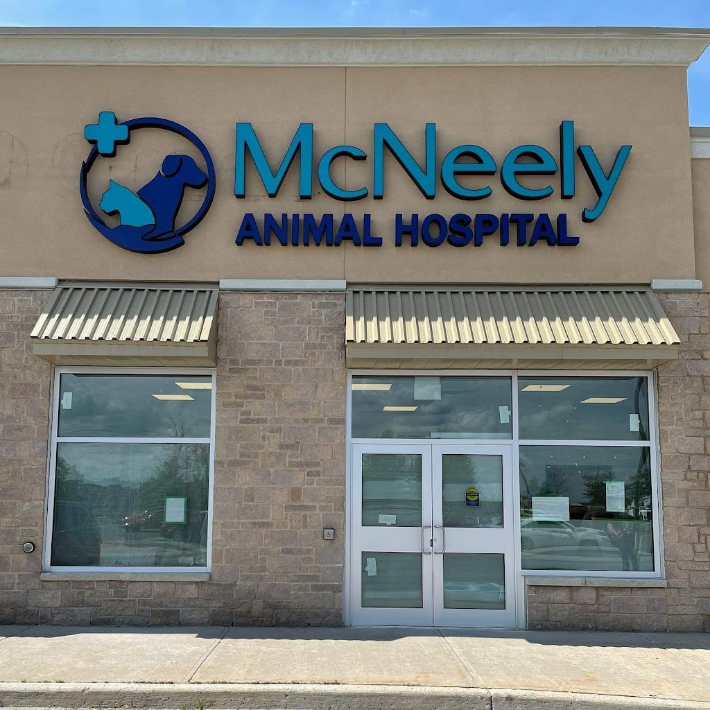 McNeely Animal Hospital | 320 Coleman St #3a, Carleton Place, ON K7C 0B5, Canada | Phone: (613) 253-2602