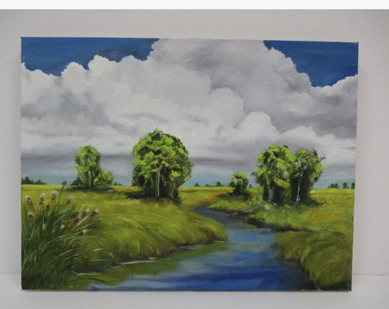 Framing & Art Centre | Dakota Park Plaza, 200 Meadowood Dr #6, Winnipeg, MB R2M 5G3, Canada | Phone: (204) 253-9557