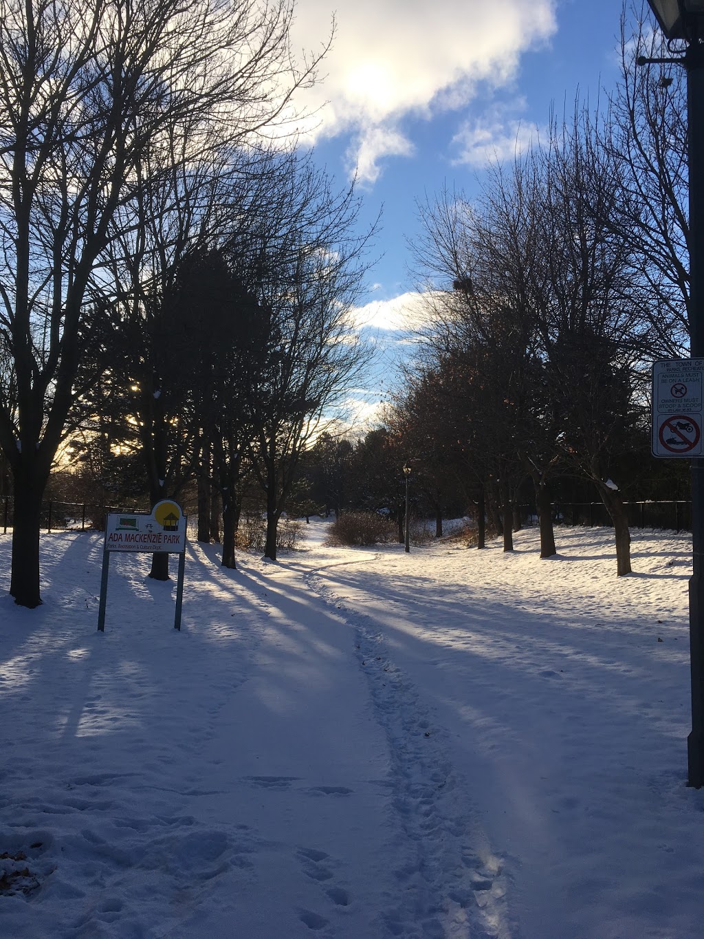 Ada MacKenzie Park | 46 Strathearn Ave, Richmond Hill, ON L4B 2G3, Canada