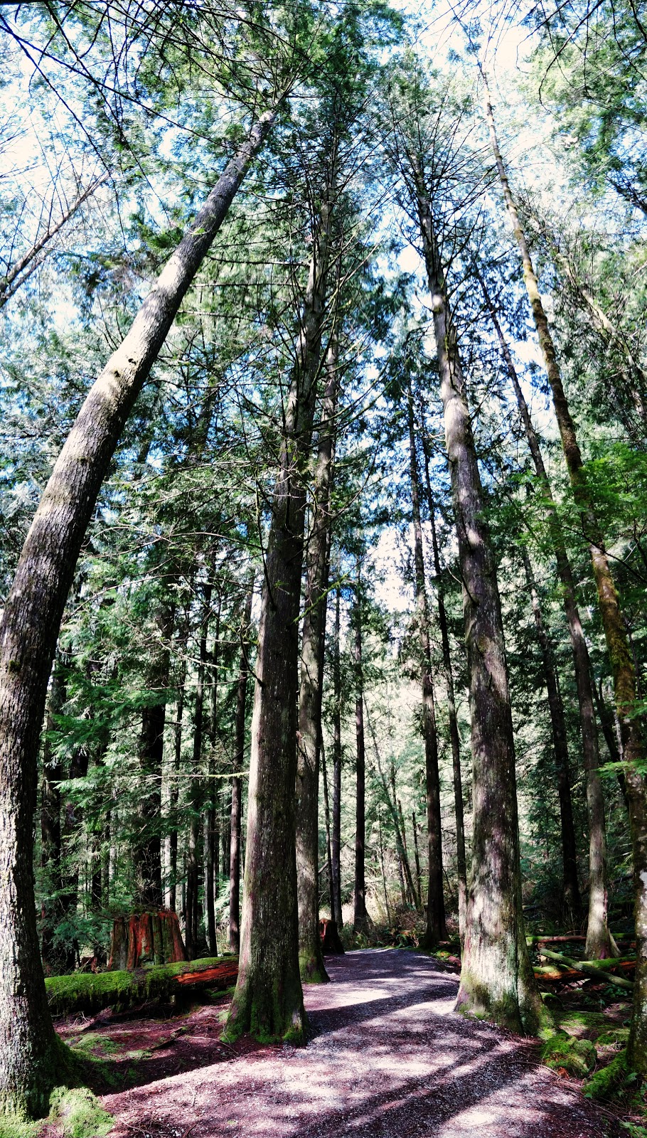 North Beach Trail | Golden Ears Pkwy, Maple Ridge, BC V0M, Canada