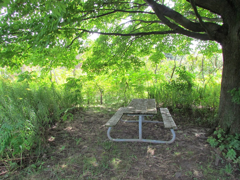The Orchard | Confederation Park A, Hamilton, ON L8E, Canada | Phone: (905) 547-6141