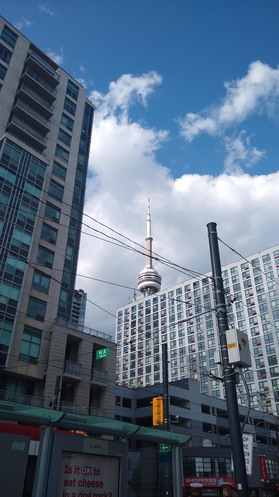 Griffin Yachts Ltd | 401 Queens Quay W, Toronto, ON M5V 2Y2, Canada | Phone: (416) 260-8888