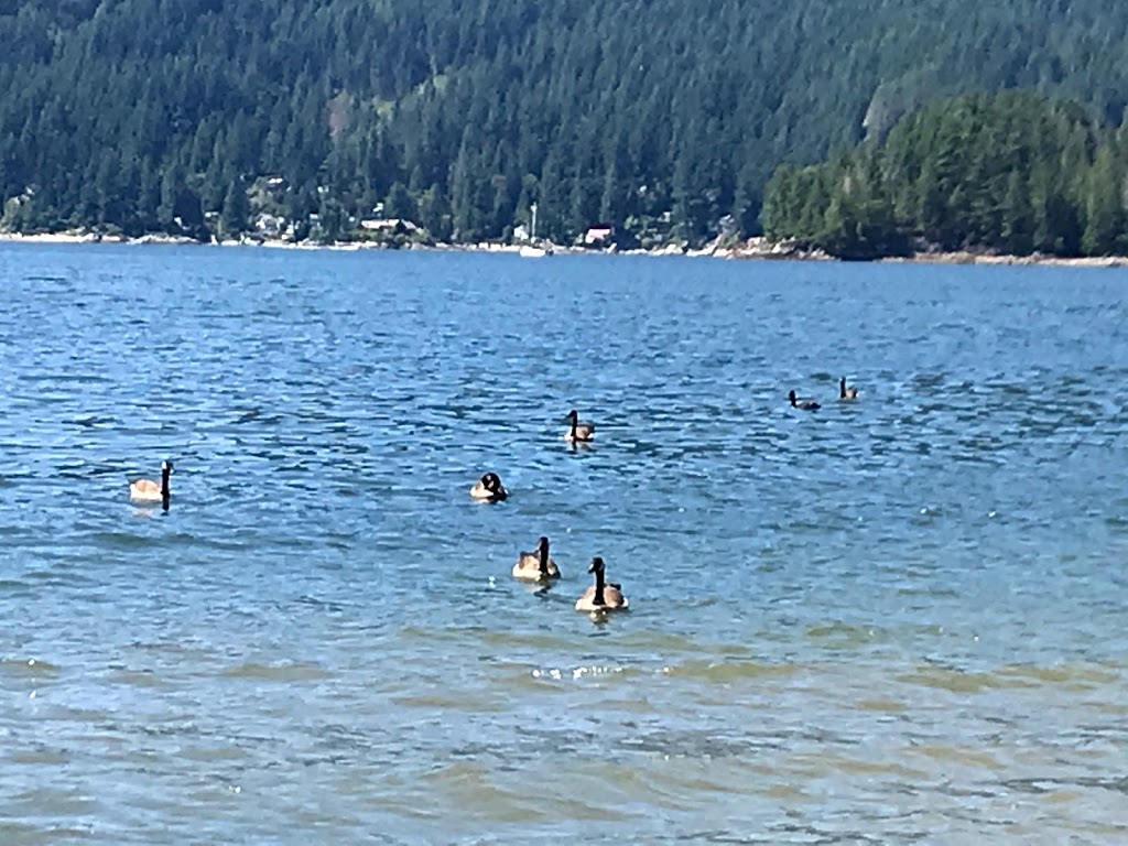 Camp Howdy | Unnamed Rd, Belcarra, BC V3H 4S3, Canada | Phone: (604) 939-7921