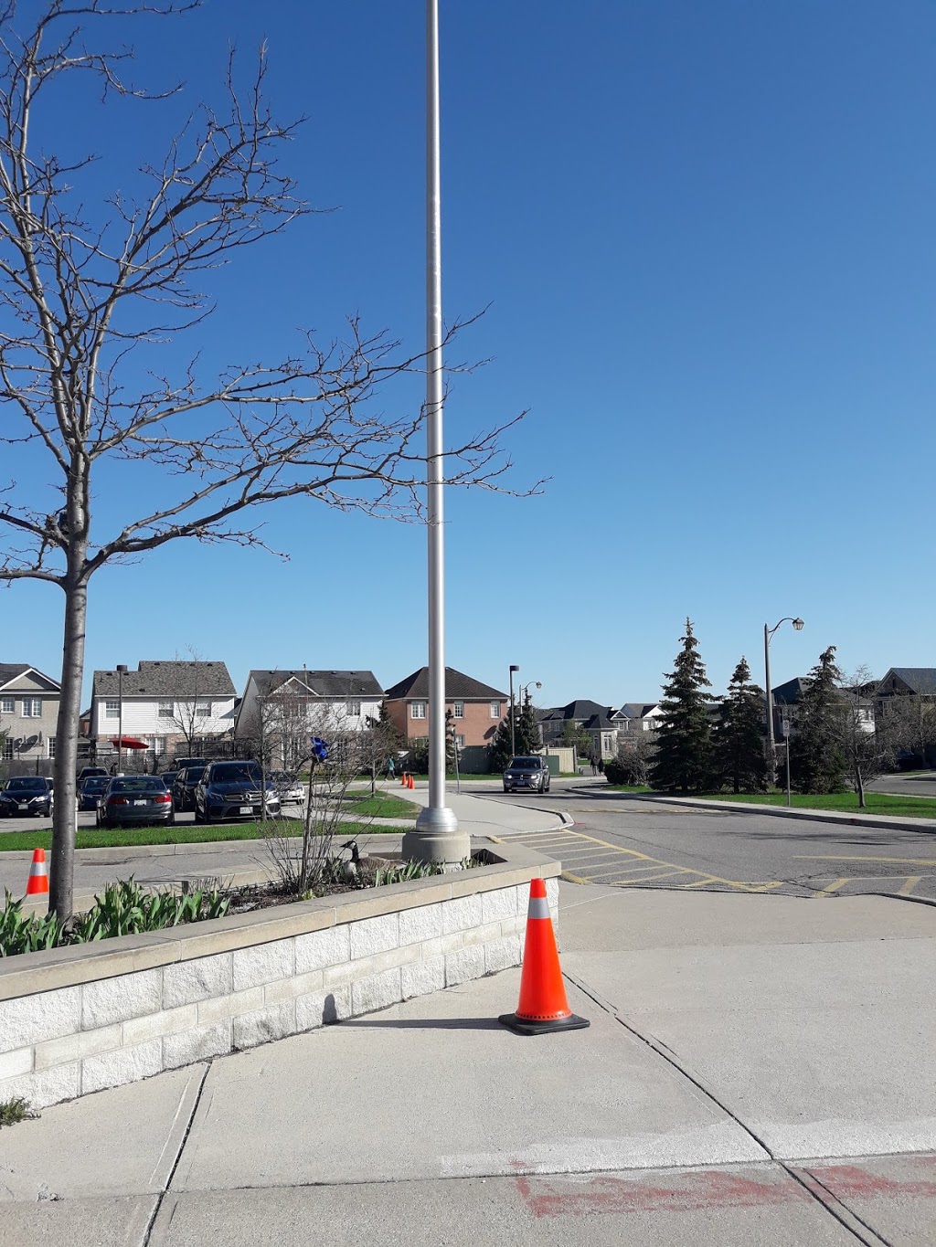 Brisdale Public School | 370 Brisdale Dr, Brampton, ON L7A 3K7, Canada | Phone: (905) 840-2135