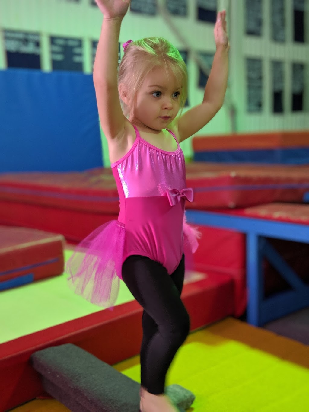 Gemini Gymnastics | 1000 Stevenson Rd N, Hangar #3, Oshawa, ON L1J 5P5, Canada | Phone: (905) 576-2164