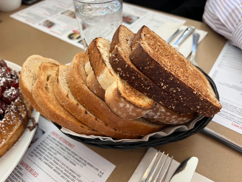 Petinos LaSalle | 7203 Bd Newman, LaSalle, QC H8N 2K3, Canada | Phone: (514) 419-6969