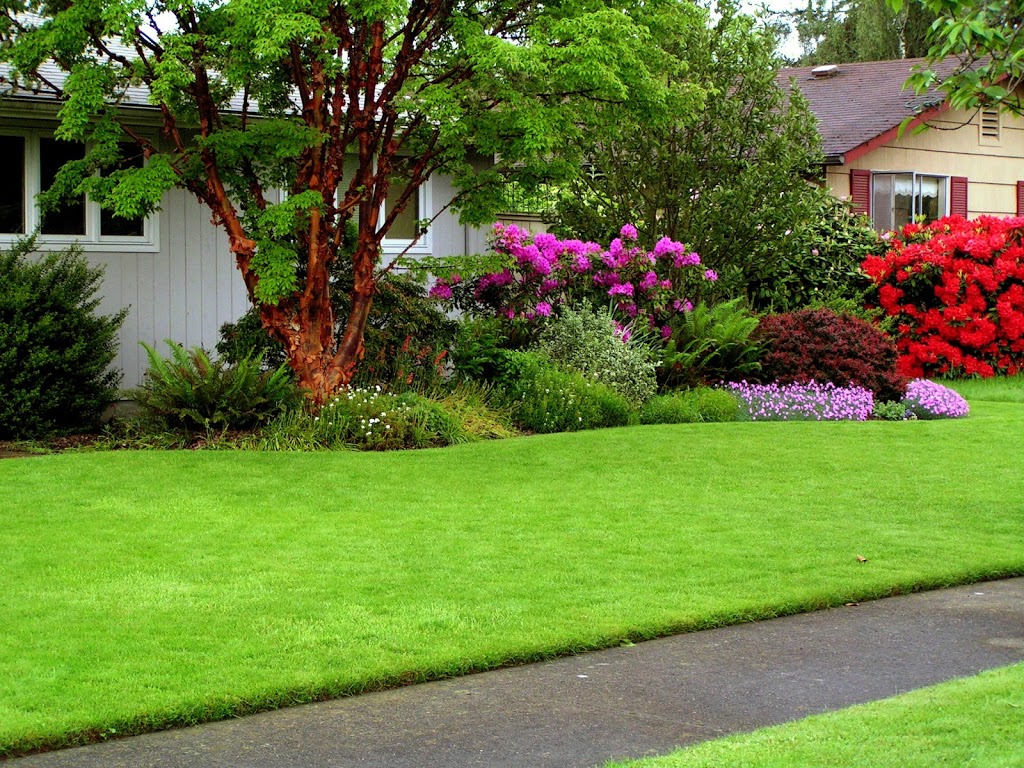 Basil Green Landscaping - Vancouver Lawn Care Service | 1661 Quebec St, Vancouver, BC V5T 1B4, Canada | Phone: (778) 319-7381