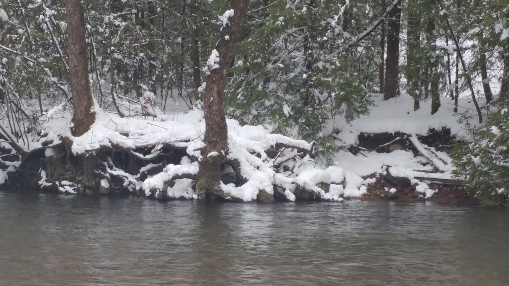 Coquitlam River Park | 1190 Shaughnessy St, Coquitlam, BC V3E, Canada