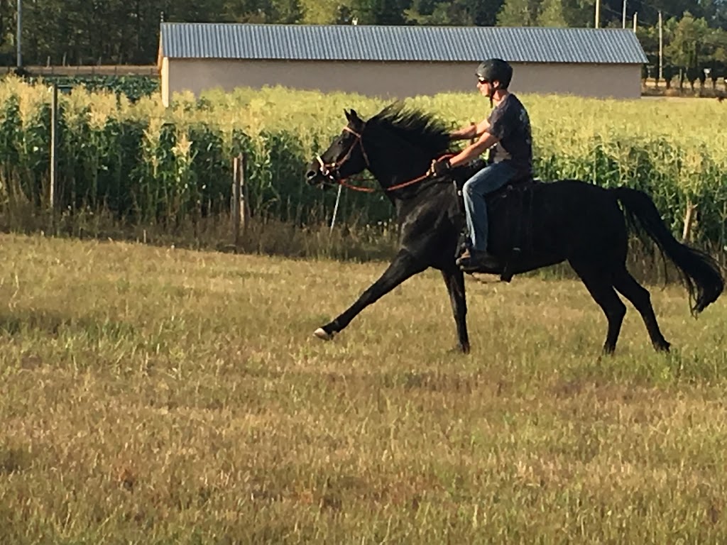Tantivy Stables | 6224 Central Saanich Rd, Victoria, BC V8Z 5T7, Canada | Phone: (250) 652-9537