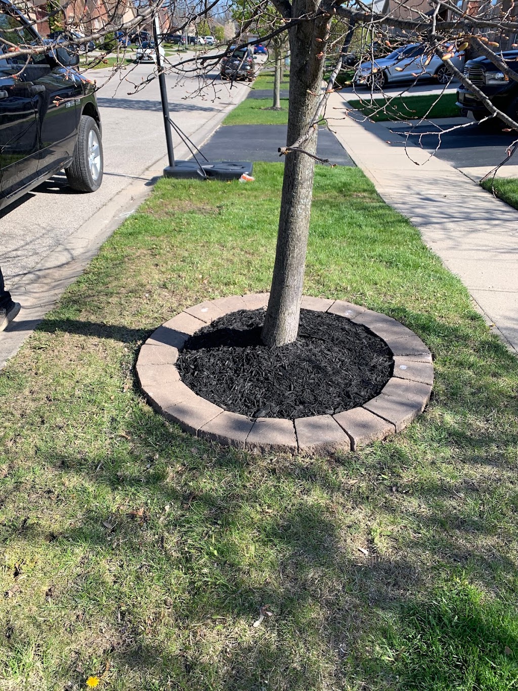Black Diamond Lawn Care & Landscaping | 30 Brantford St, Brantford, ON N3S 0G2, Canada | Phone: (289) 933-2621