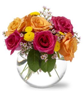 Toronto Bulk Flowers | 9961 Yonge St, Richmond Hill, ON L4C 1T9, Canada | Phone: (416) 568-8009