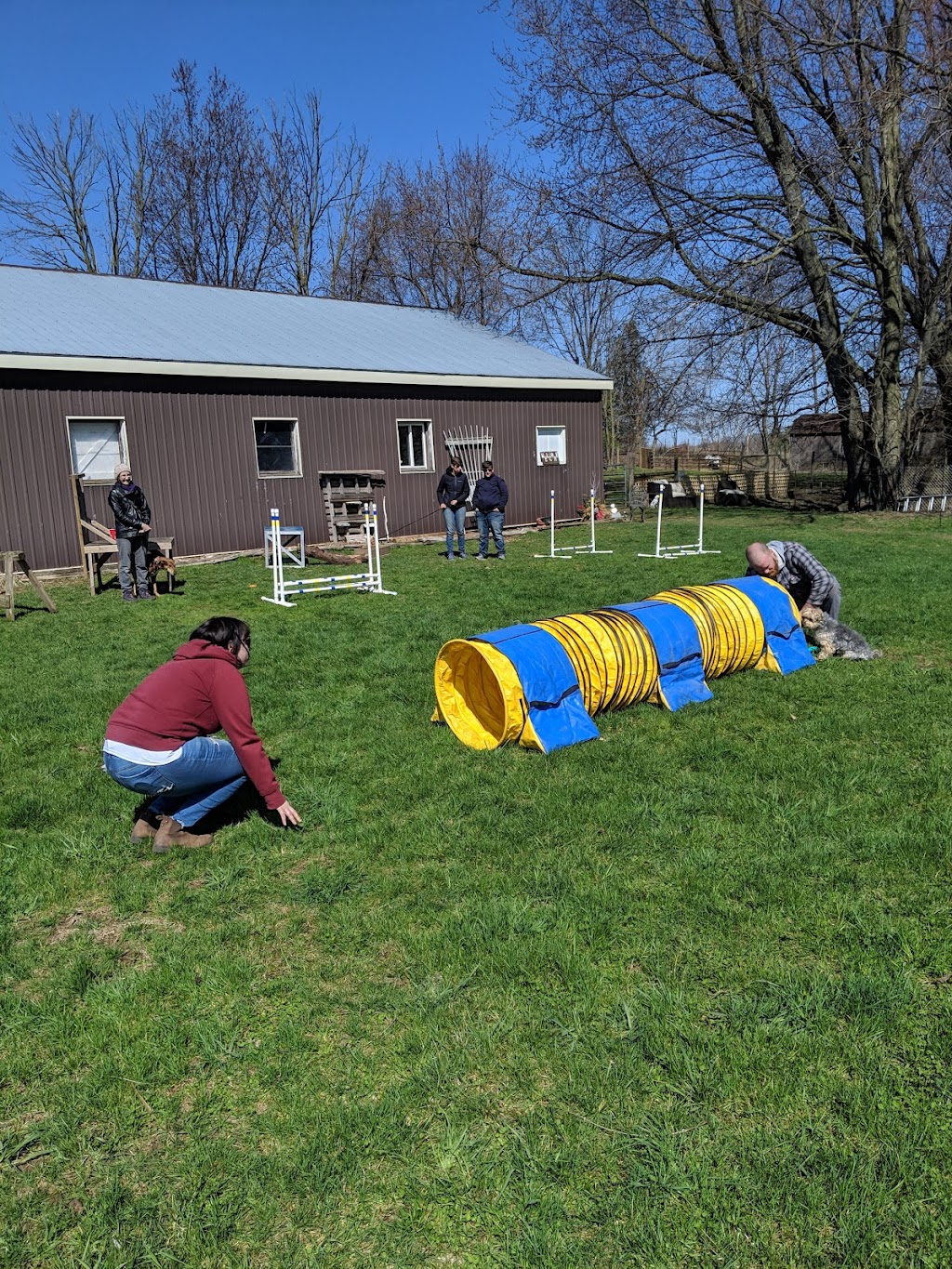 For Pup Sake Dog Training | 622 Hwy 52 N, Lynden, ON L0R 1T0, Canada | Phone: (289) 244-4432
