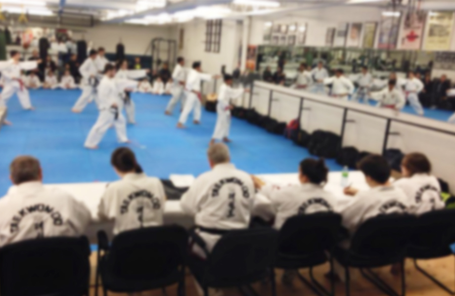 Woodbridge Taekwon-Do Inc. | 5732 Highway 7 Unit 1, Woodbridge, ON L4L 3A2, Canada | Phone: (905) 851-1797