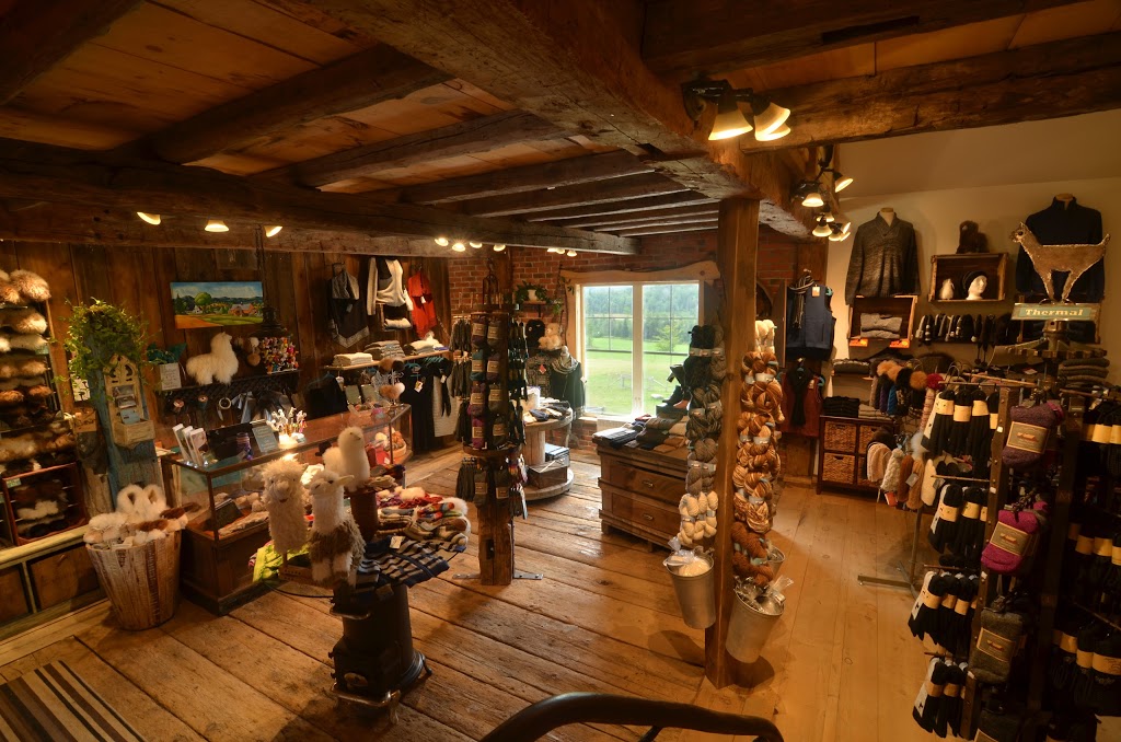 Alpagas Sutton | 1474 Chemin Macey, Sutton, QC J0E 2K0, Canada | Phone: (450) 538-1538