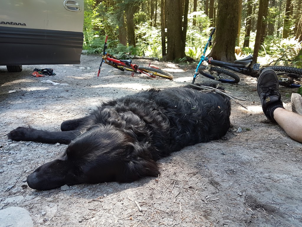 Woodland Walk Trail Head | 1500 Conifer Dr, Coquitlam, BC V3E 3H2, Canada