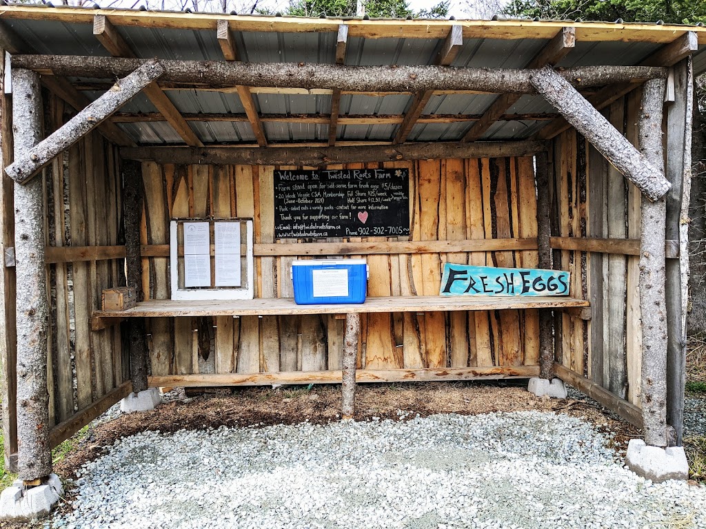 Twisted Roots Farm | 305 Gussieville Rd, Judique Intervale, NS B0E 1P0, Canada | Phone: (902) 302-7005