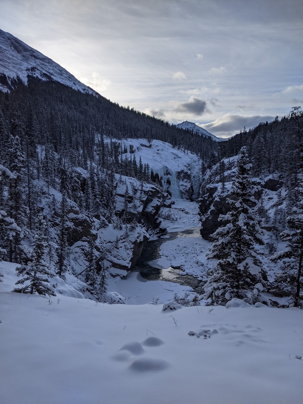 Nordegg Adventures | 4 Stuart St, Nordegg, AB T0M 2H0, Canada | Phone: (877) 907-6071