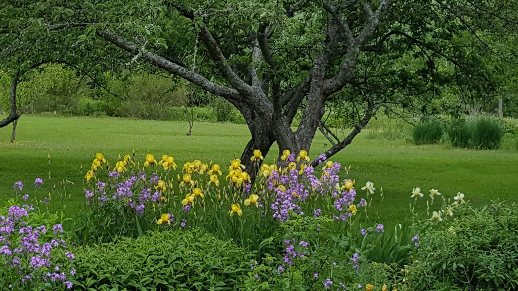 Peck Colonial Bed & Breakfast | 5566 NB-114, Hopewell Hill, NB E4H 3N5, Canada | Phone: (506) 882-2114