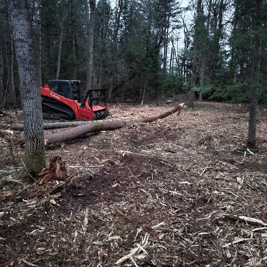 Rykon Forestry Mulching | 245 Brock Concession Rd 2, Sunderland, ON L0C 1H0, Canada | Phone: (289) 383-5789