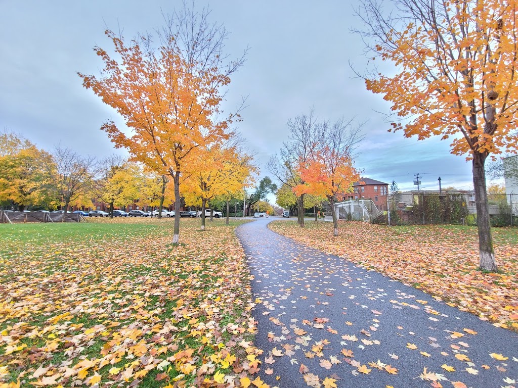 Jeux deau (parc Lafond) | 3500 Avenue Laurier E, Montréal, QC H1X 3E9, Canada | Phone: (514) 872-0311