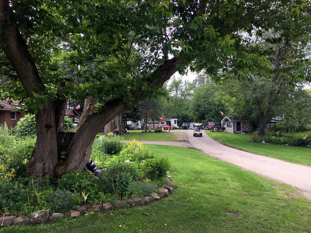 Happy Green Acres Campground | 2 Green Acres Rd, Mallorytown, ON K0E 1R0, Canada | Phone: (343) 264-2468