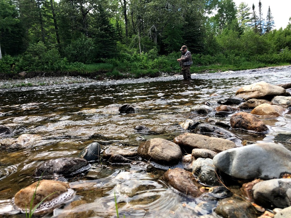 Rocky Pond Farm and Outfitting | 158 Brookdale Ln, Miramichi, NB E1V 0H9, Canada | Phone: (506) 625-1713